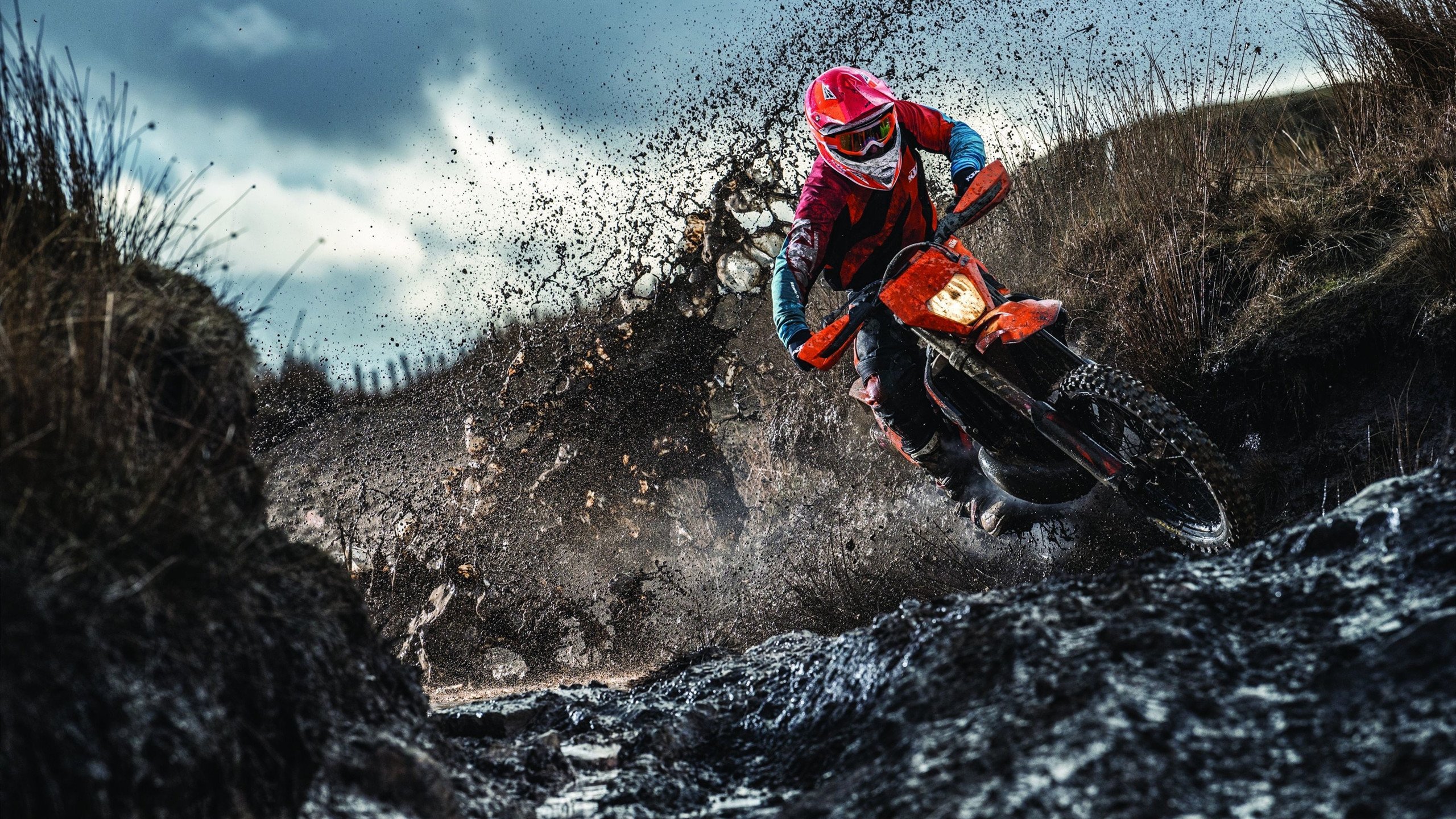 华体会hth备用地址最新-哈兰德在欧战赛场频繁成为关键先生带队前进,哈兰德参加欧洲杯了吗