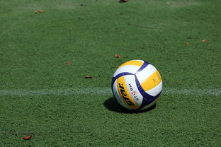 华体会真人体育-好消息!意甲豪门欲签下中国女排当家球星,已在运作或联手埃格努